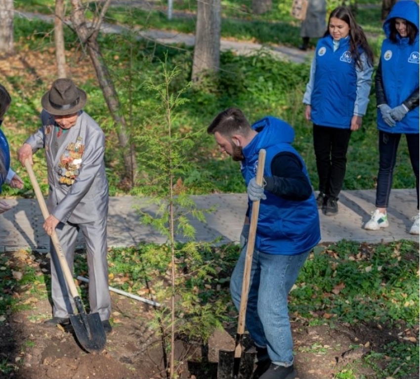 Забайкалье примет участие в посадке 27 млн деревьев в память о погибших в Великой Отечественной войне